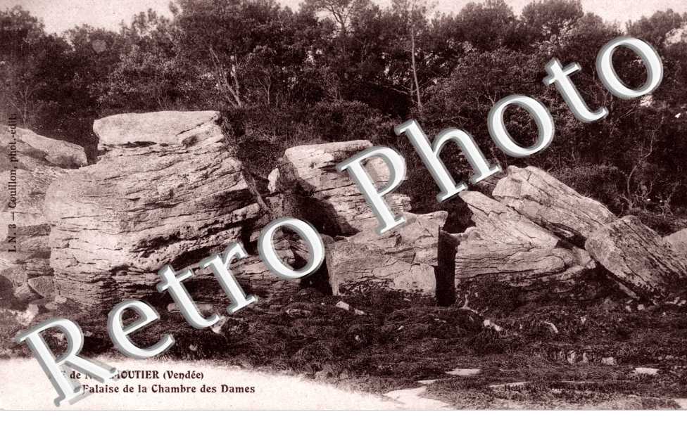 Le Bois de la Chaise Falaise de la Chambre des Dames
