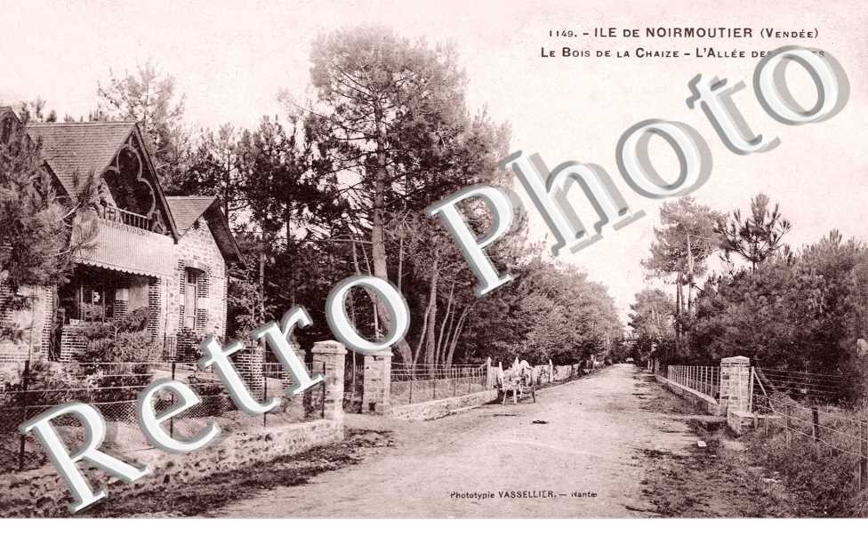 Le Bois de la Chaise L&#039;allee des landes