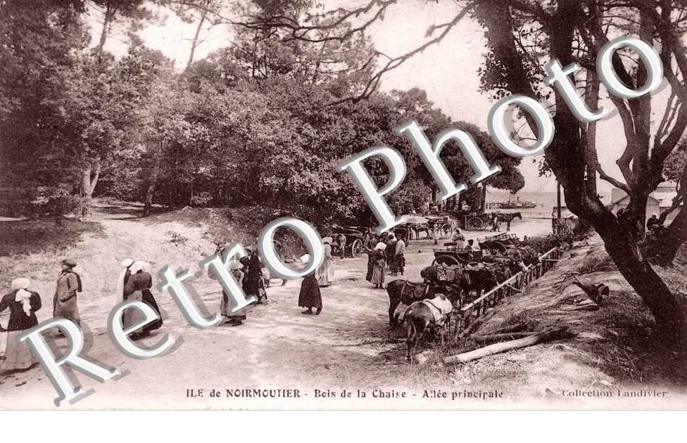 le Bois de la Chaise Allee principale