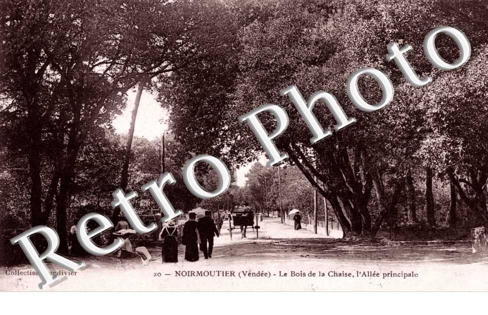 Le Bois d la Chaise - Allee principale