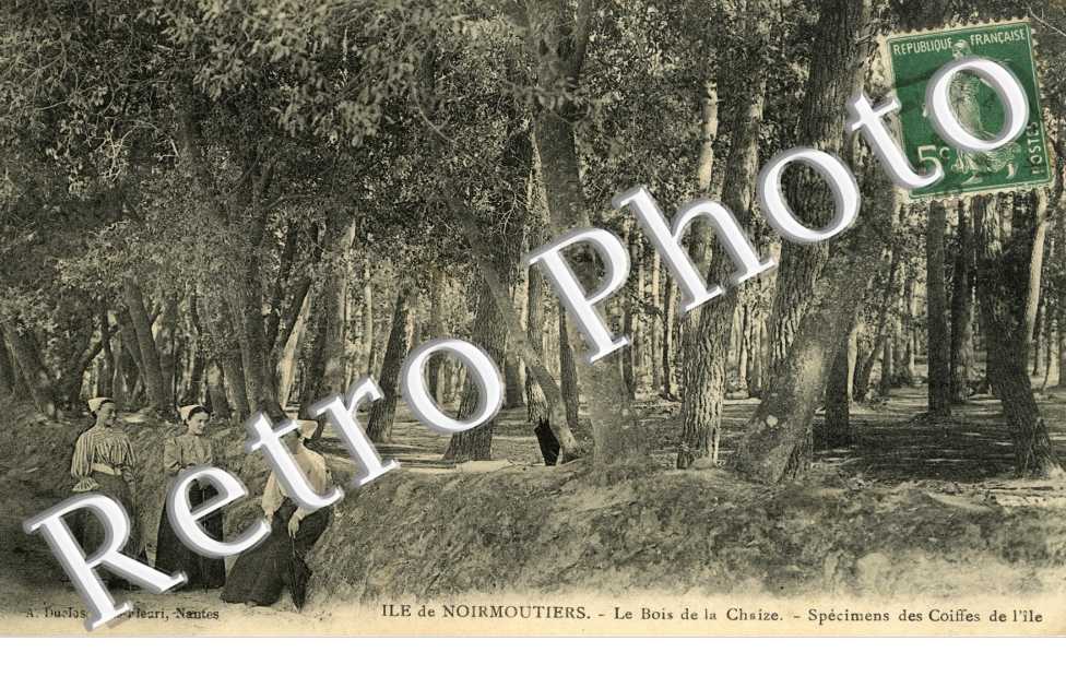 Le Bois de la Chaise Specimens des Coiffes de l&#039;Ile