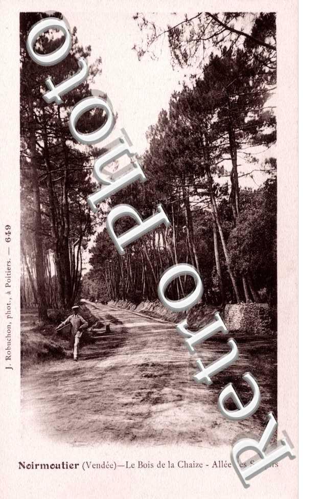 Le Bois de la Chaize Allee des Soupirs
