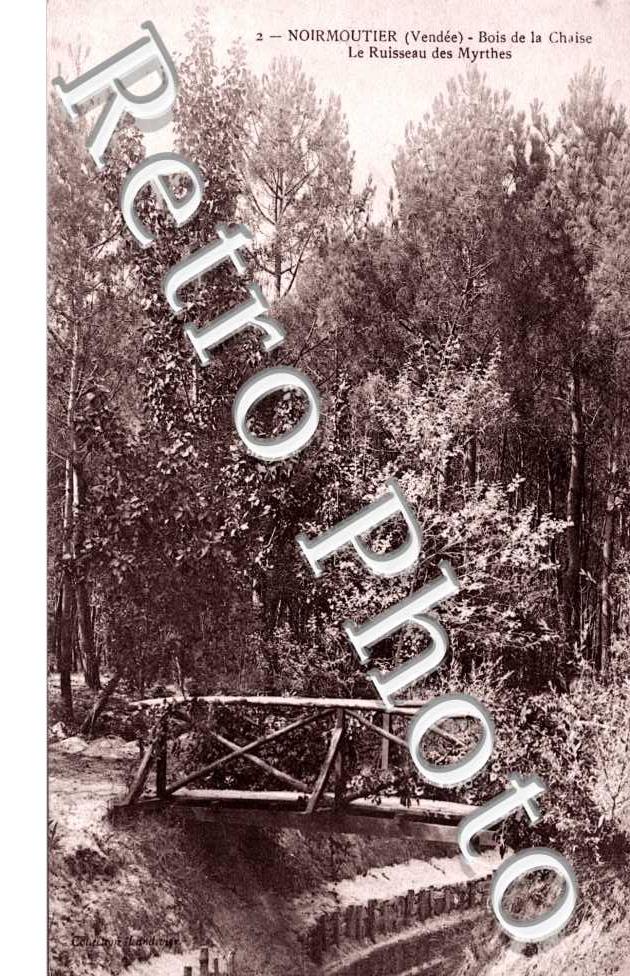 Bois de la Chaise Le ruisseau des Myrthes
