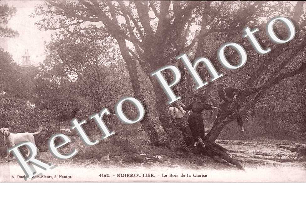 Le Bois de la Chaise