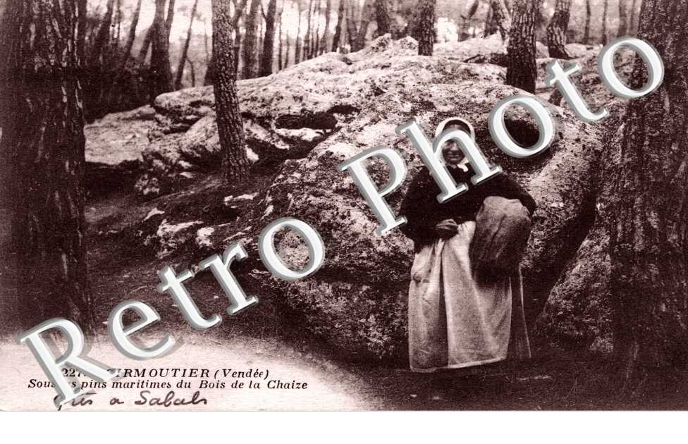 Sous les pins maritimes du Bois de la Chaise