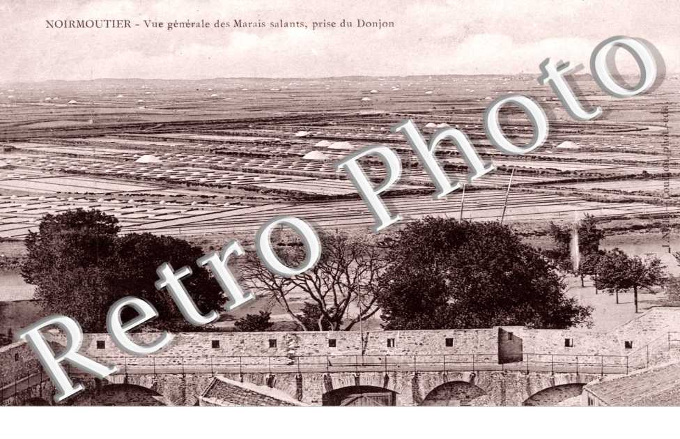 Vue Generale des marais salants prise du Donjon