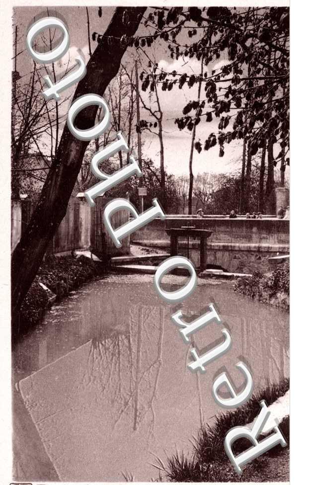 Bras de la Suippe