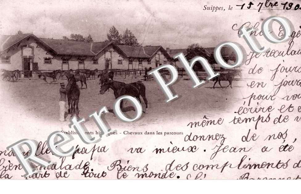 Etablissements hippiques, Chevaux dans les parcours