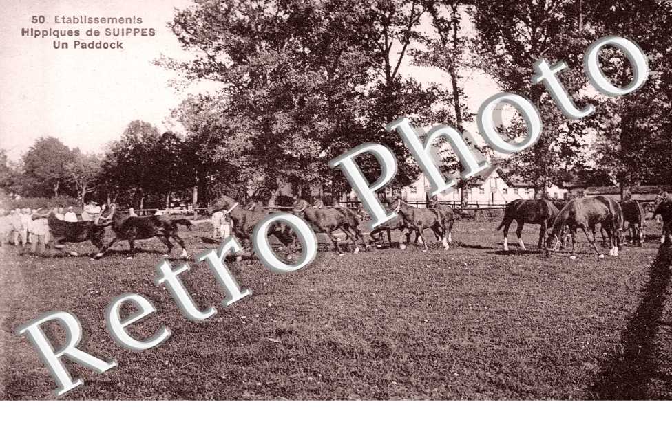 Etablissements Hippiques, un Paddock