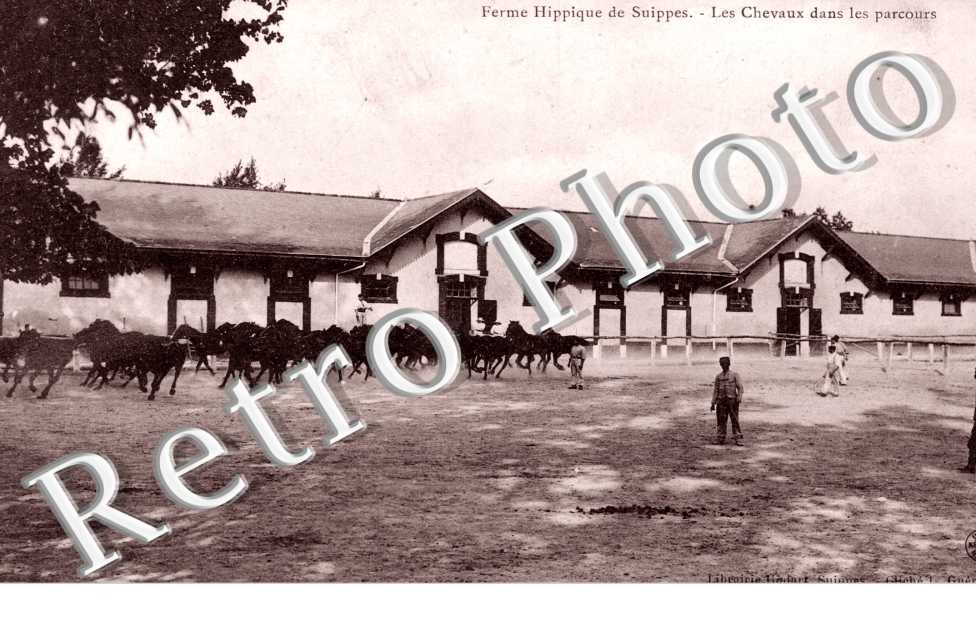 Ferme hippique