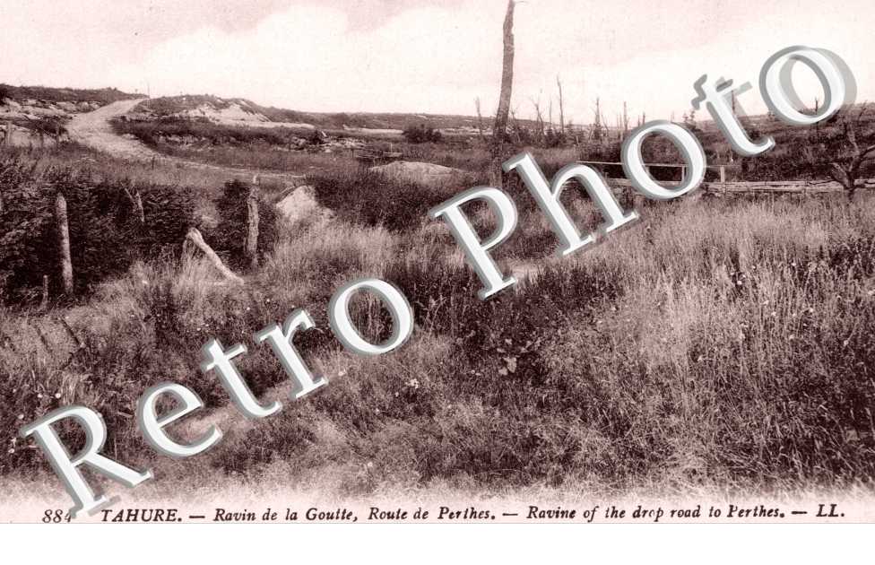 Ravin de la Goutte - route de Perthe