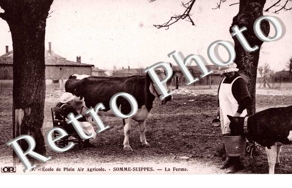 la fermme