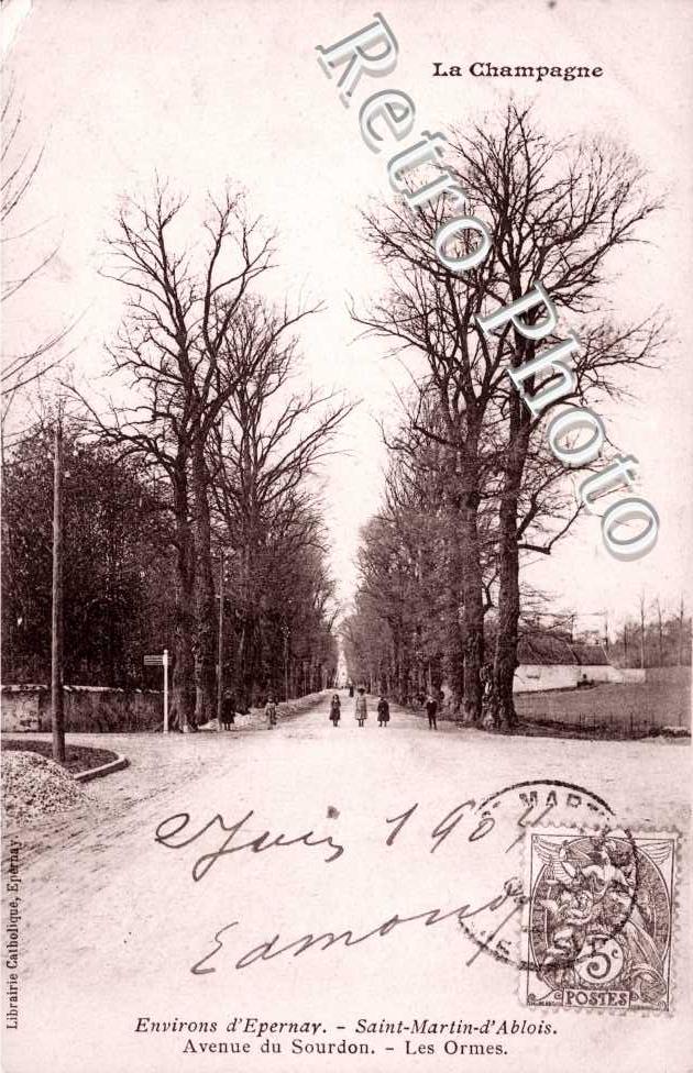 Avenue du Sourdon, les Ormes