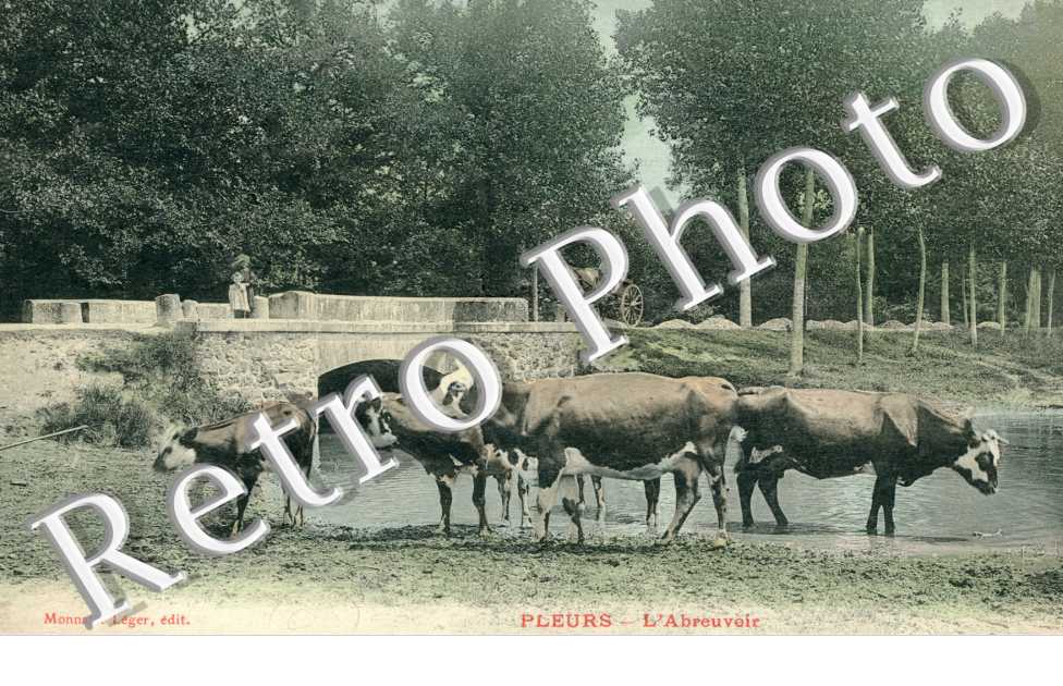 l&#039;abreuvoir