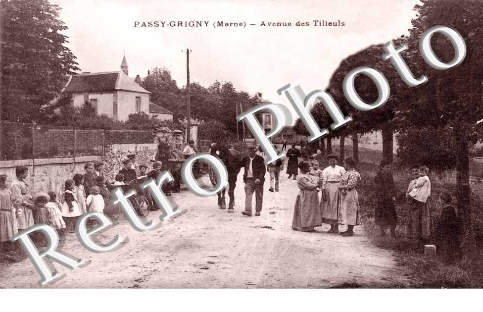 avenue des tilleuls