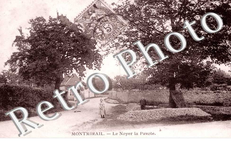 Noyer la Pavote