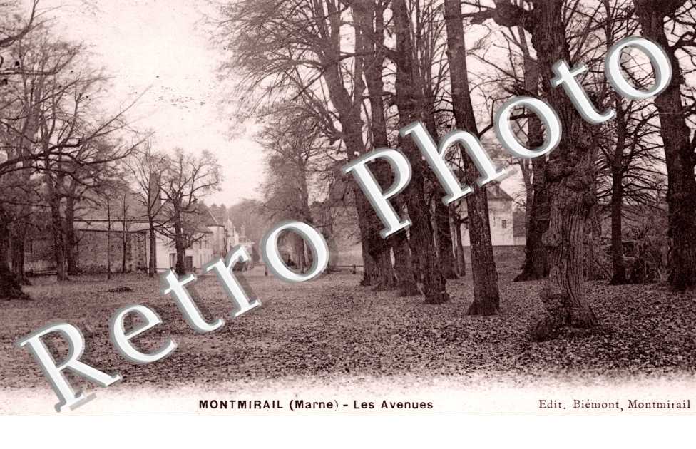 Les Avenues