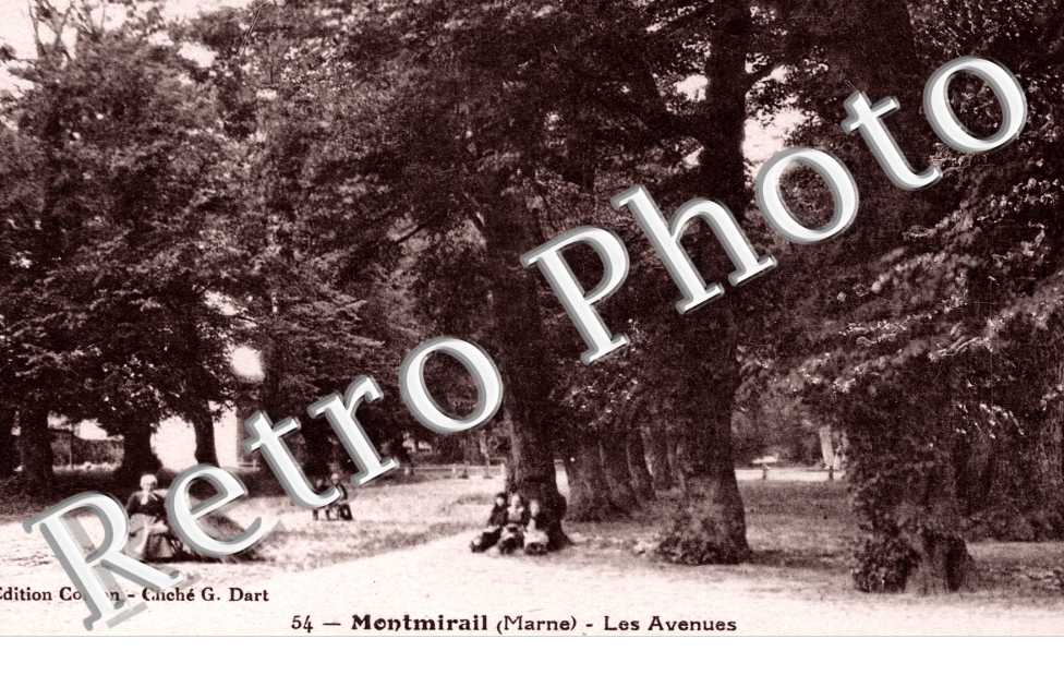 Les Avenues
