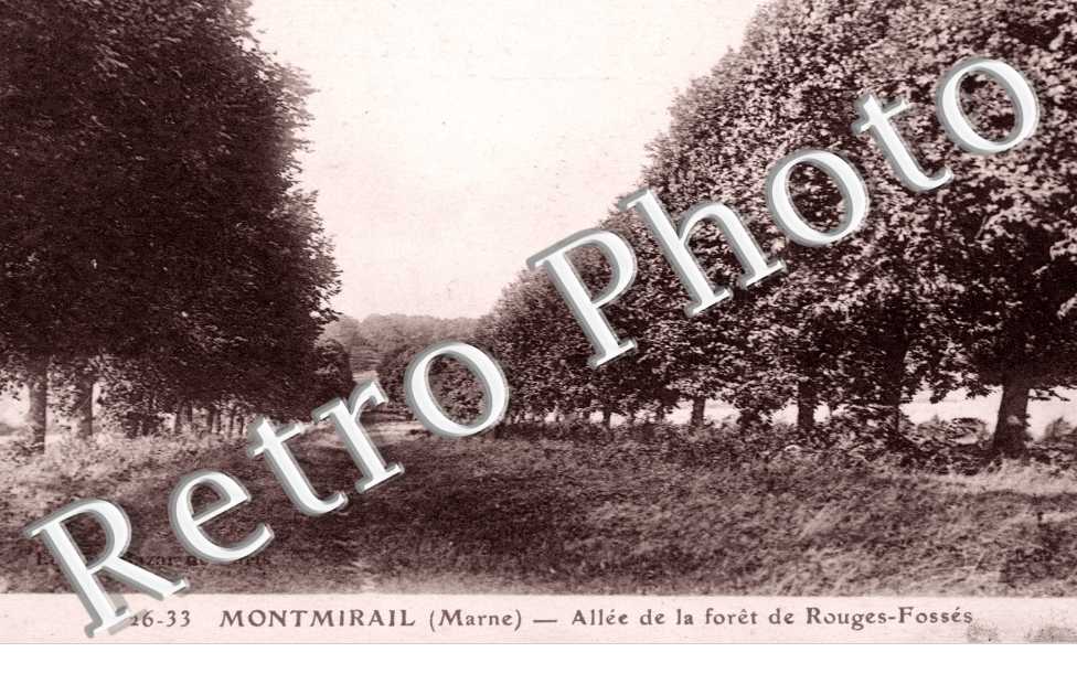 Allee de la Foret de Rouges Fosses