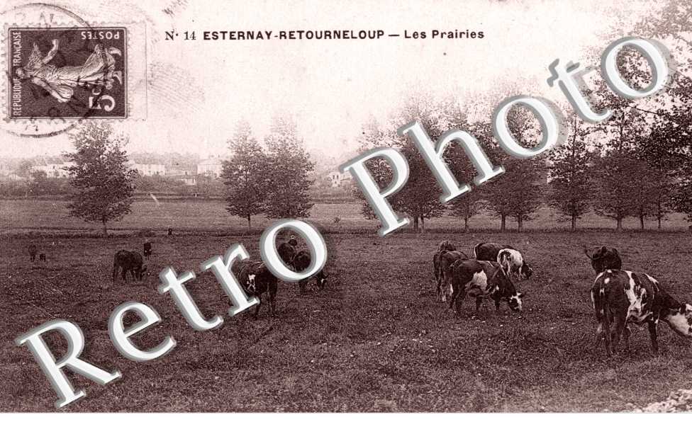 Les prairies