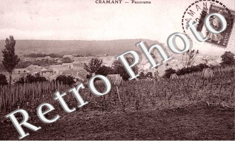 Panorama
