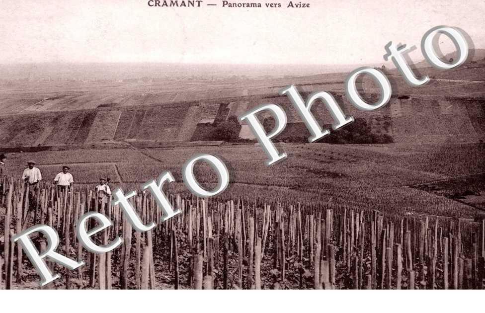 Panorama vers Avize
