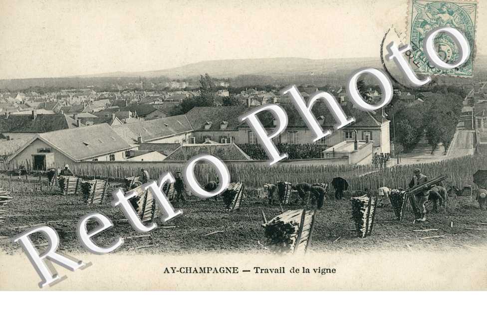 Travail de la Vigne