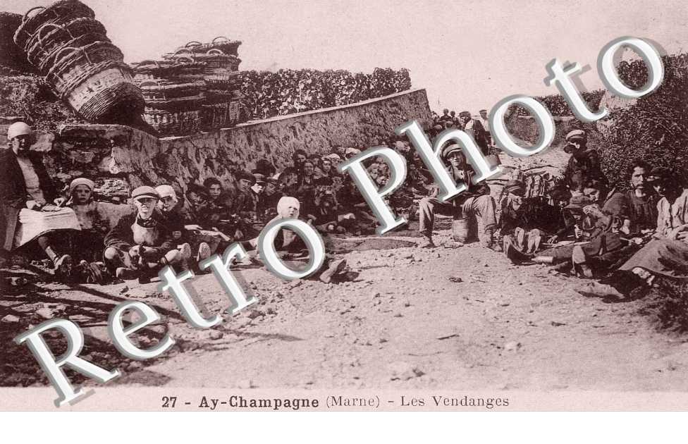 les vendanges