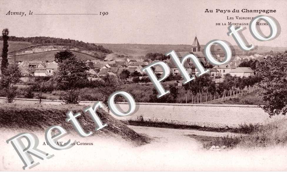 Les Vignobles de la Montagne de Reims