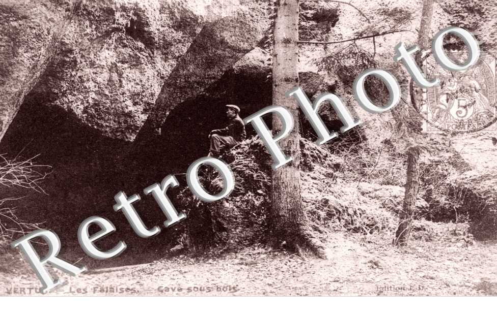 Cave sous bois