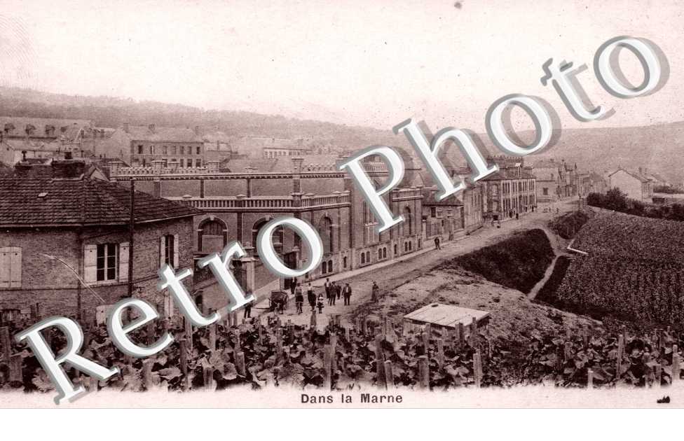 Maison Pommery  Vue generale