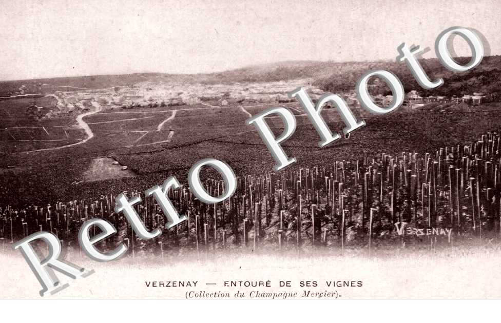 Entourde ses vignes