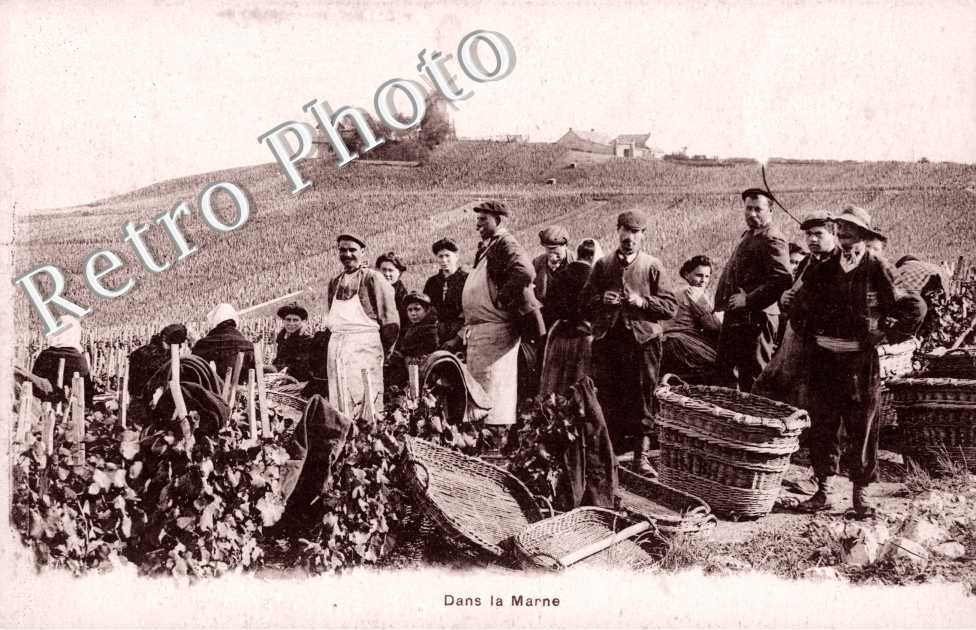 Les vendanges