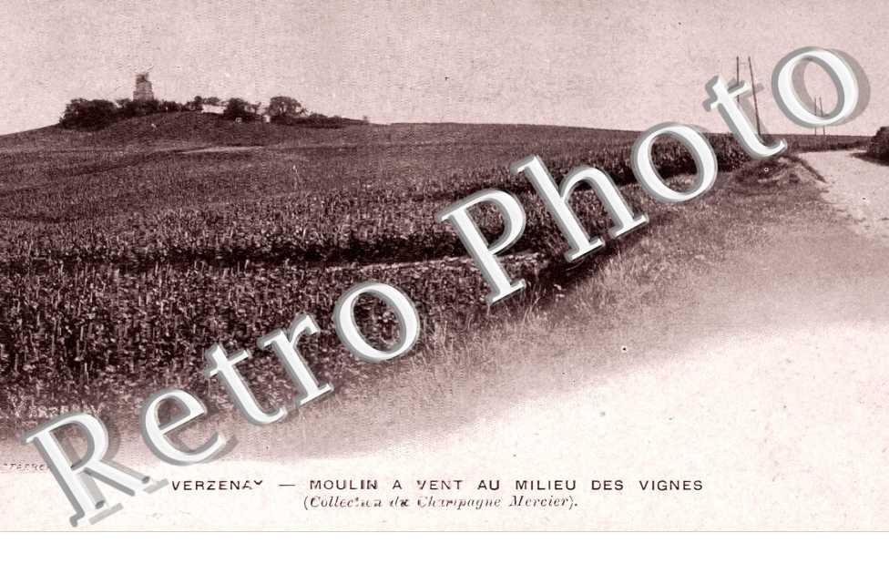 Moulin vent au milieu des vignes