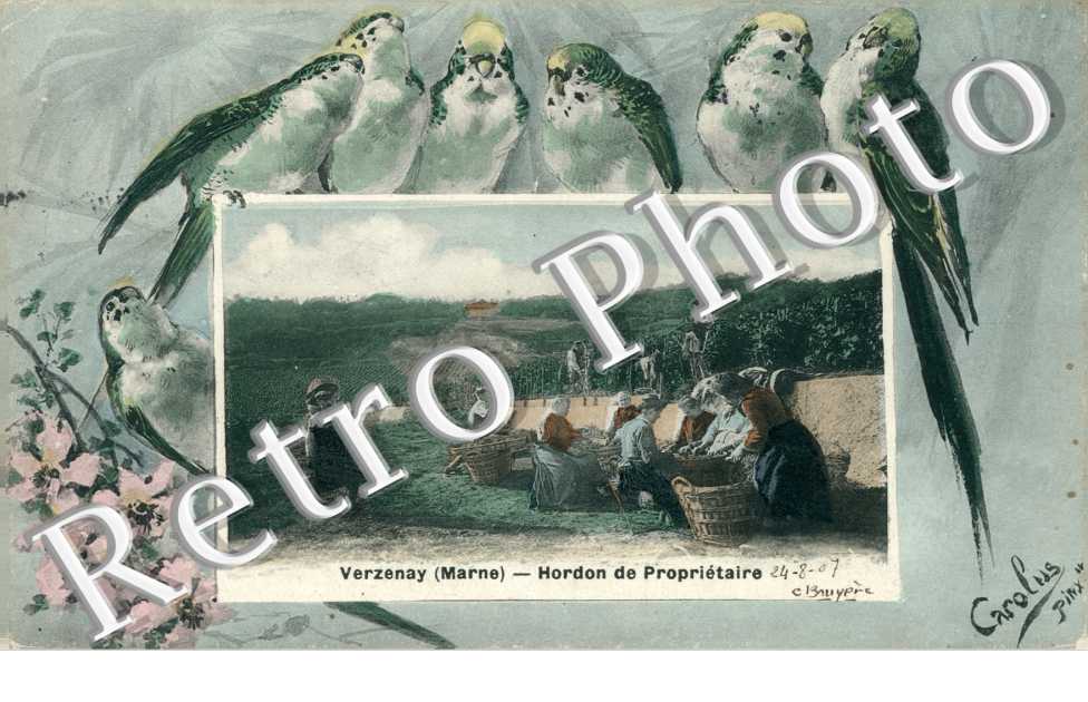 Hordon de Propriaires