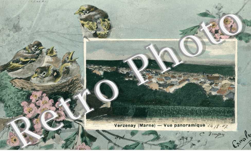Vue Panoramique