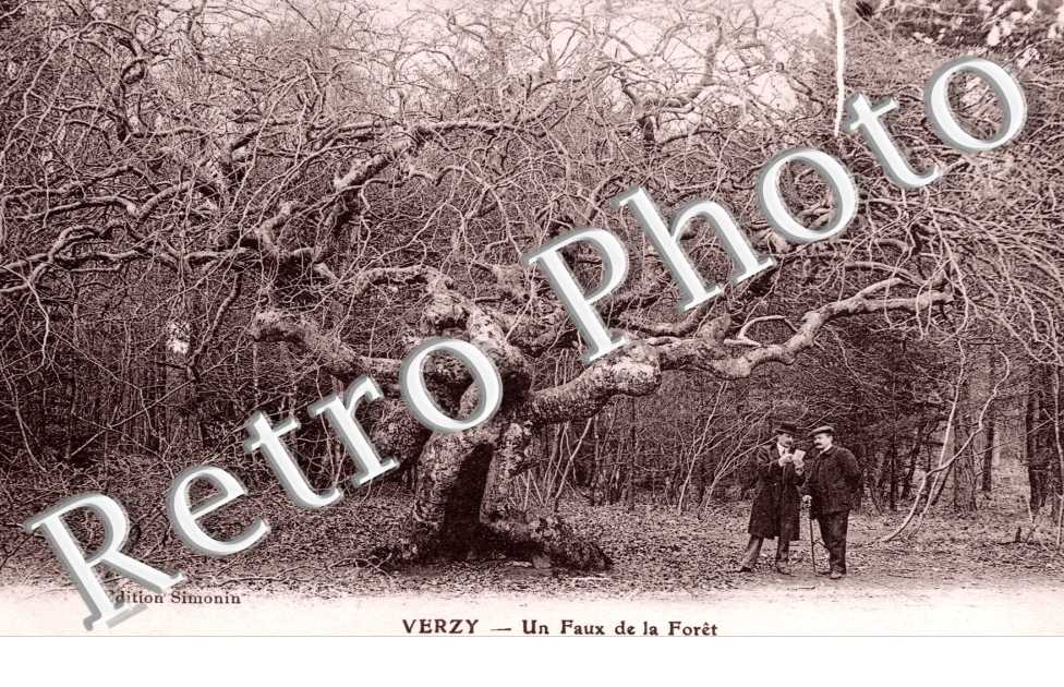 Un Faux de la Foret