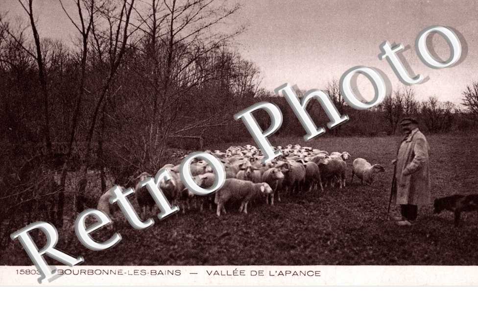 Vallee de l'Apance