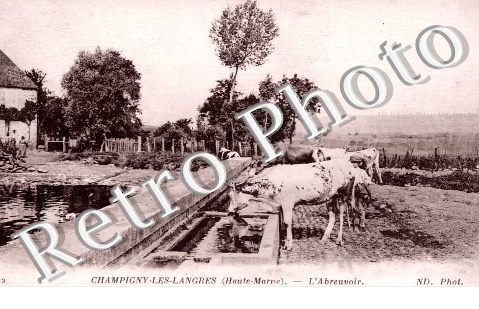L&#039;abreuvoir