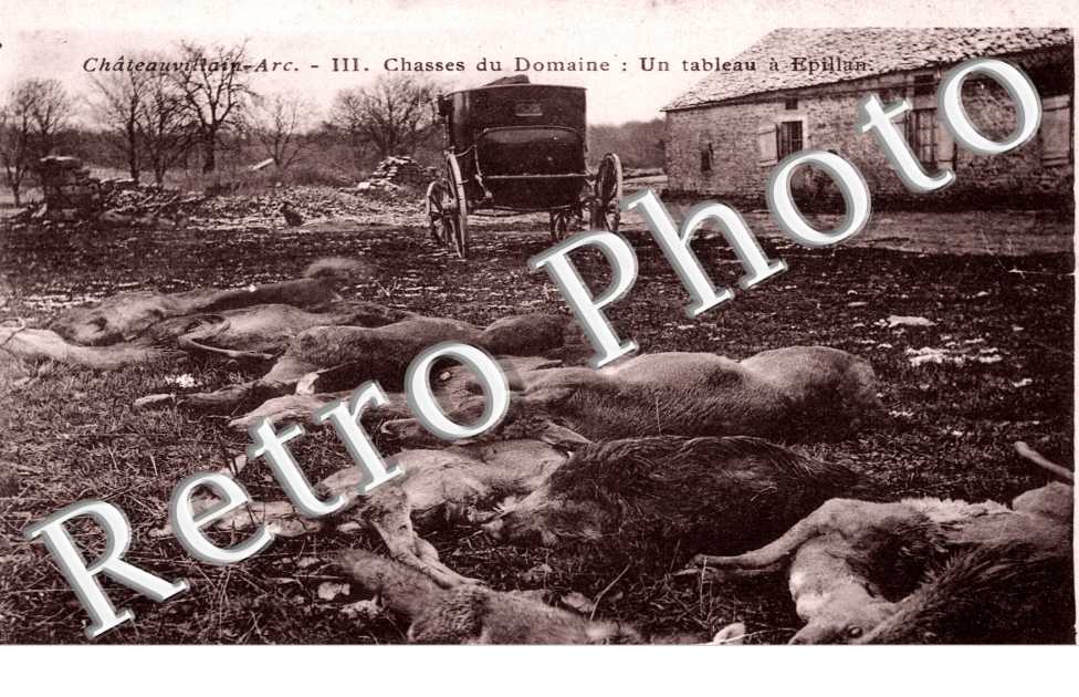 chasses du domaine : un tableau a epillan