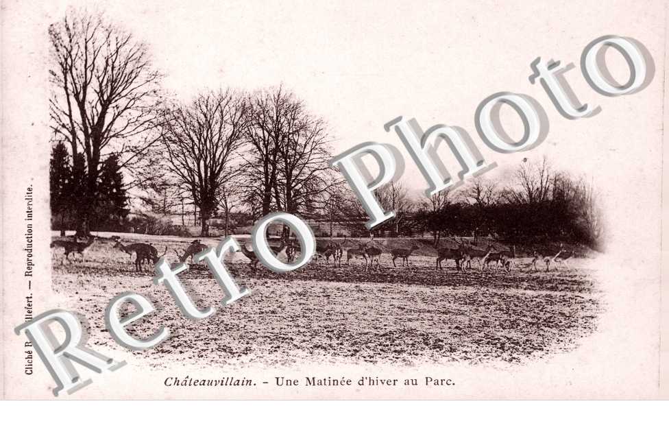 Une matinee d'Hiver au Parc