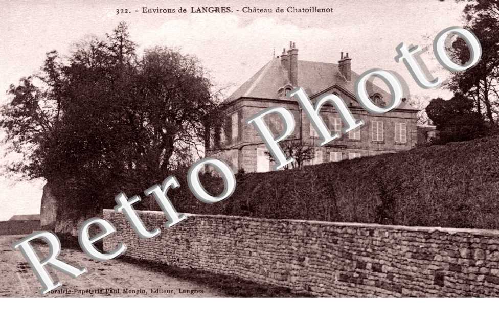 Chateau de Chatoillenot