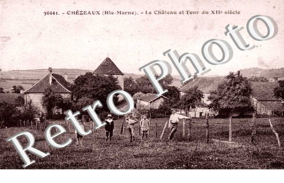 Chateau et tour du XIIe s
