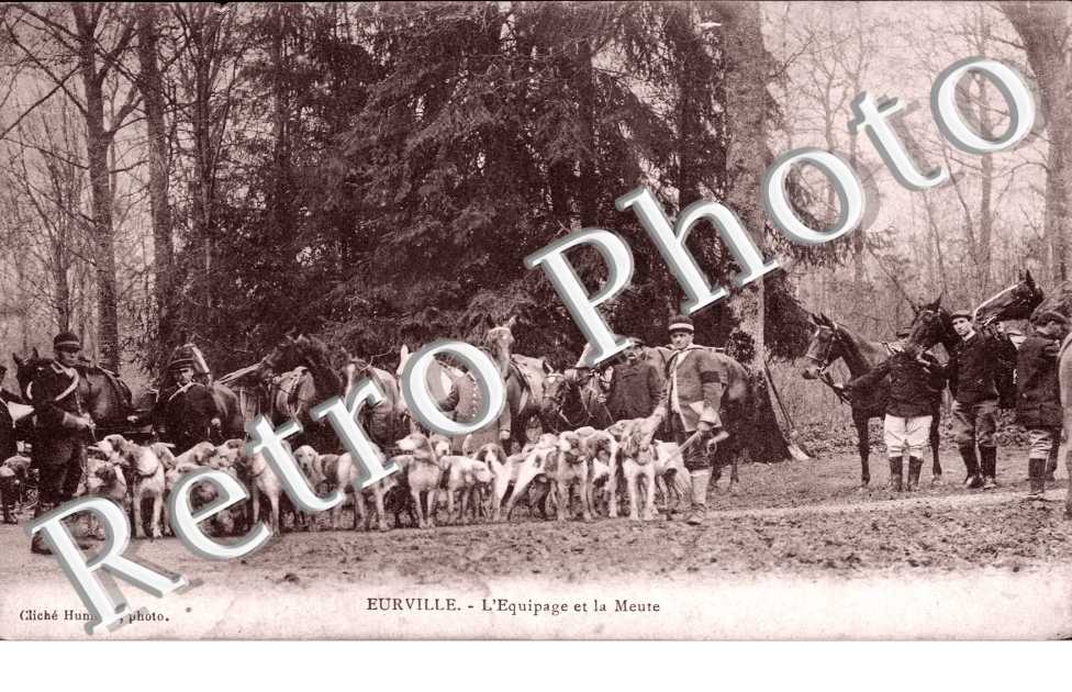 l&#039;equipage et la meute (CHASSE A COUR)