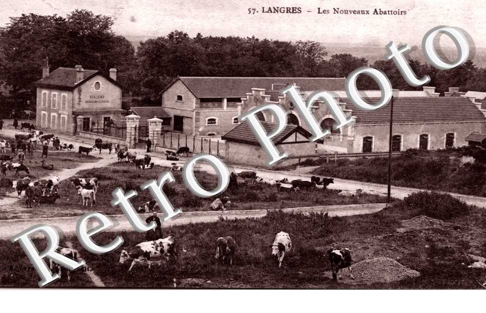 Les nouveaux abattoirs