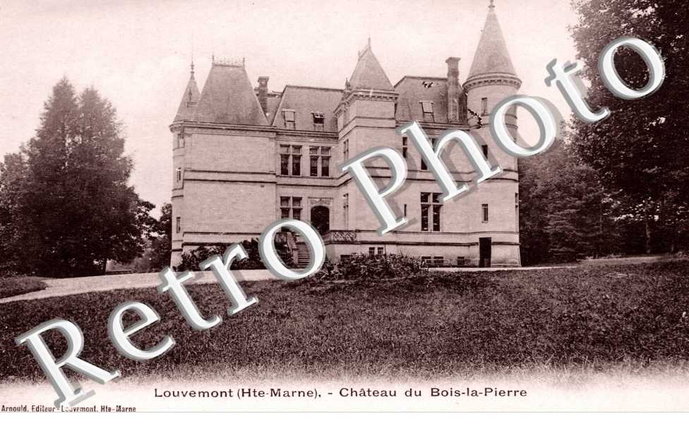 chateau du Bois-la-Pierre