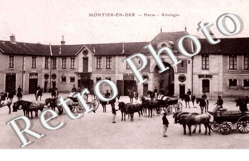 haras - attelage