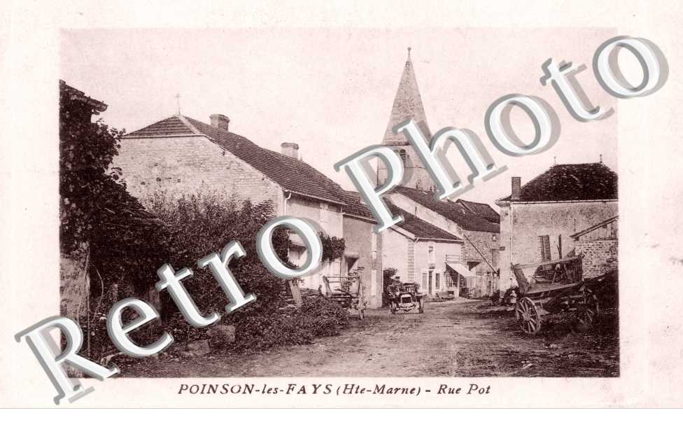 Rue Pot