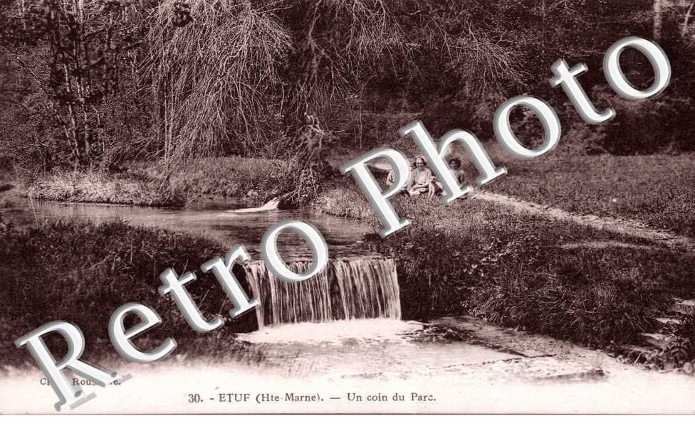 Un coin du parc