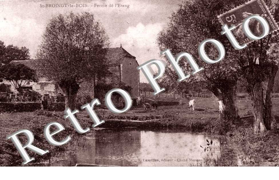 Ferme de l&#039;etang